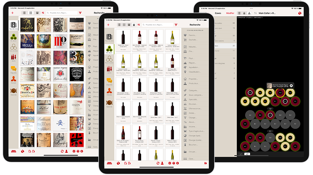 VinoCell iPad